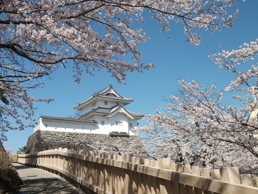 🏯 고후 성터 (마이즈루 성 공원) 이미지 6